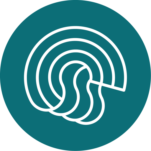 Synapta studio